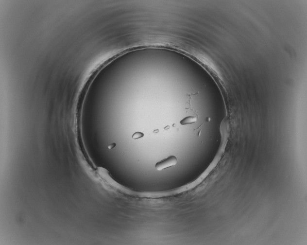 X0000113621088200909181434