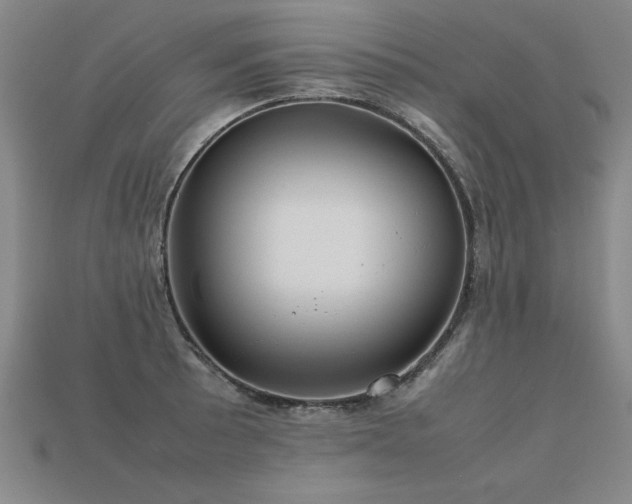 X0000113621089200909181434