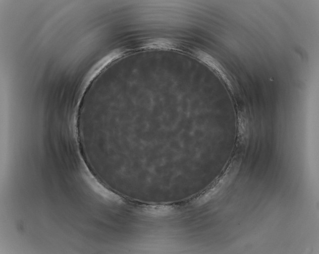 X0000113621090200909181434