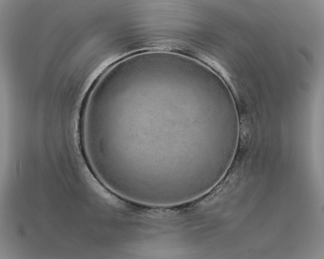 X0000113621091200909181434