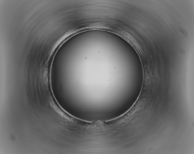 X0000113621092200909181434