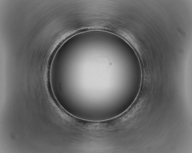 X0000113621093200909181434