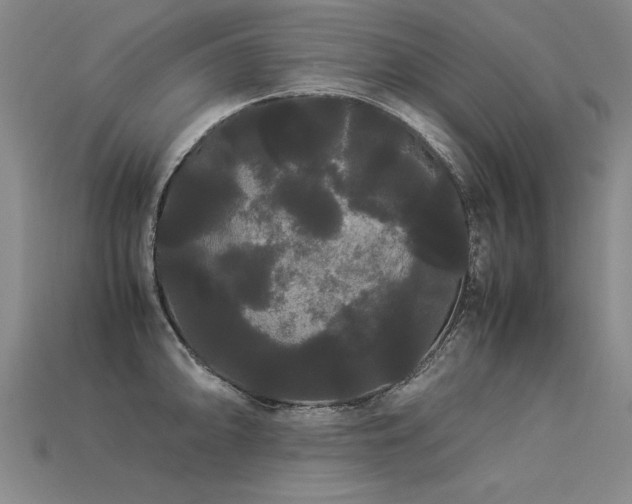 X0000113621094200909181434