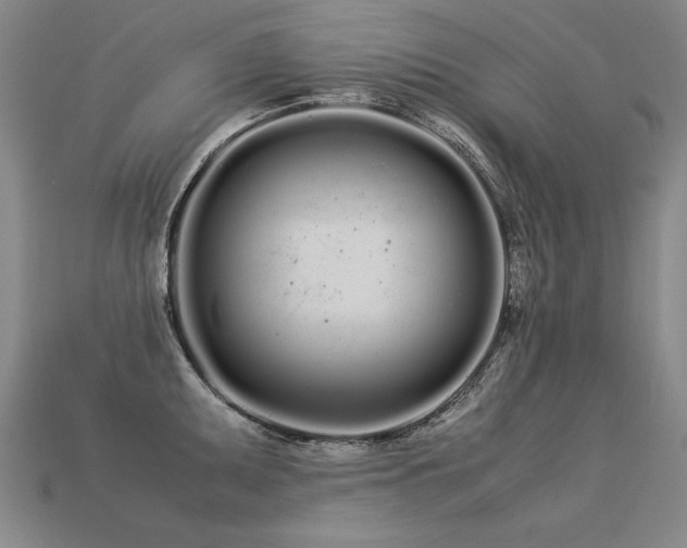 X0000113621095200909181434