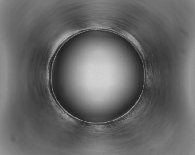 X0000113621096200909181434