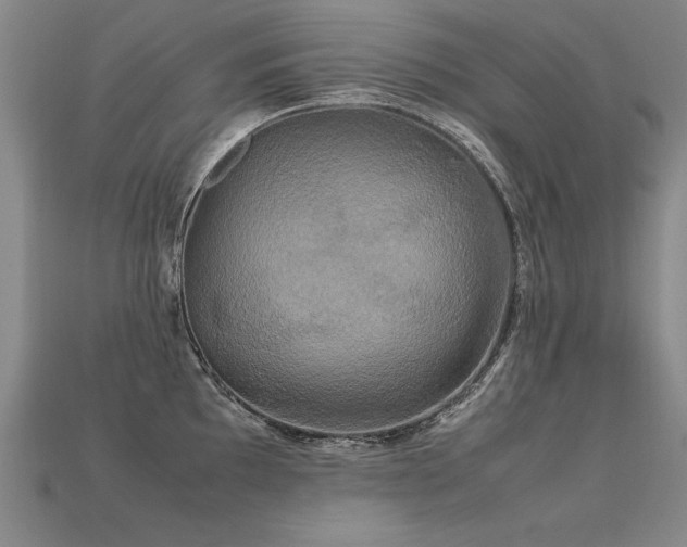 X0000113621097200909181434