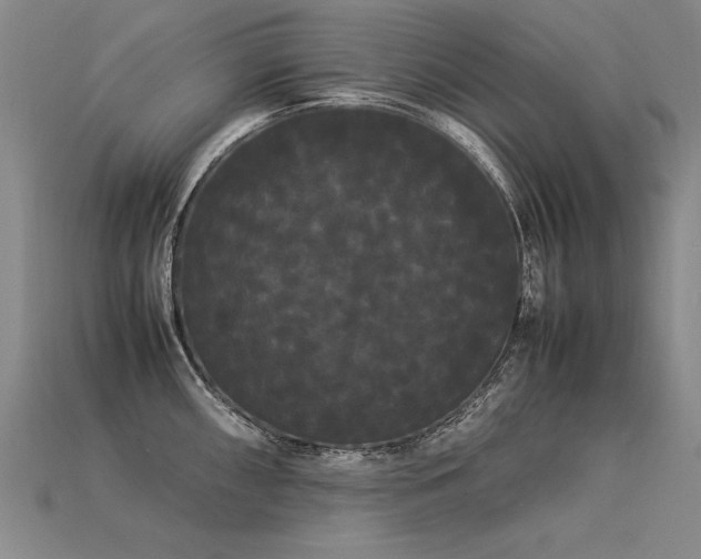 X0000113621098200909181434