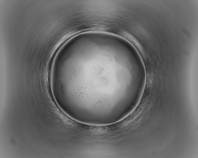 X0000113621099200909181434