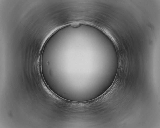 X0000113621100200909181434