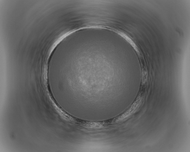 X0000113621101200909181434