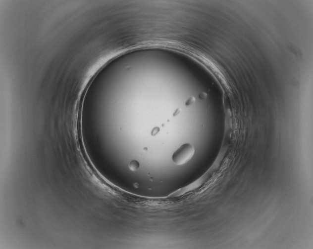 X0000113621102200909181434