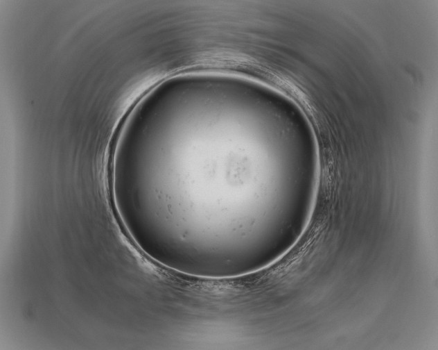 X0000113621103200909181434