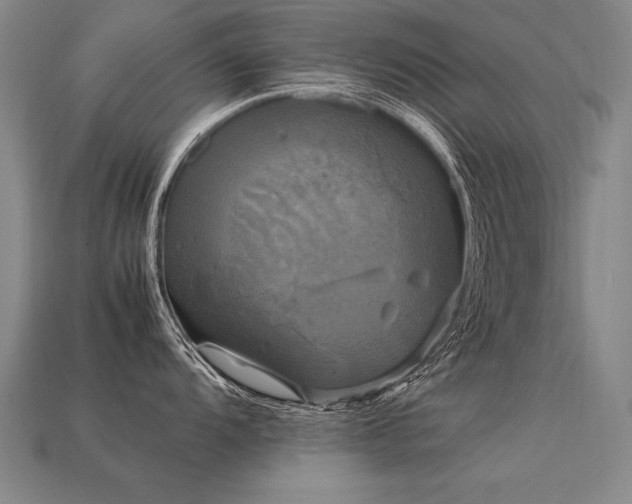 X0000113621104200909181434