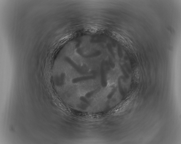 X0000113621105200909181433