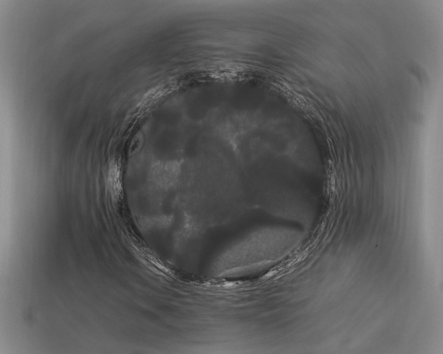 X0000113621106200909181433