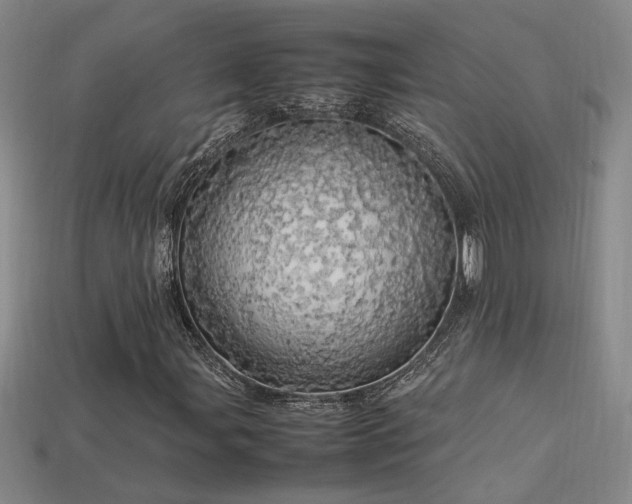 X0000113621107200909181434