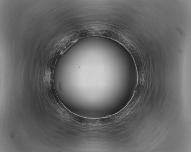 X0000113621108200909181434