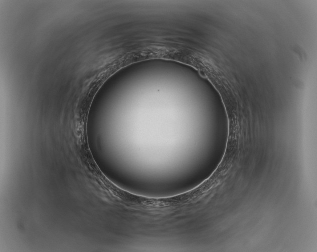 X0000113621109200909181434