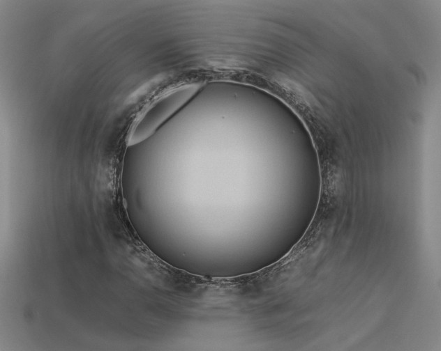 X0000113621110200909181434