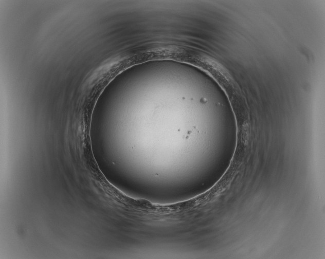 X0000113621111200909181434