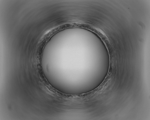 X0000113621112200909181434