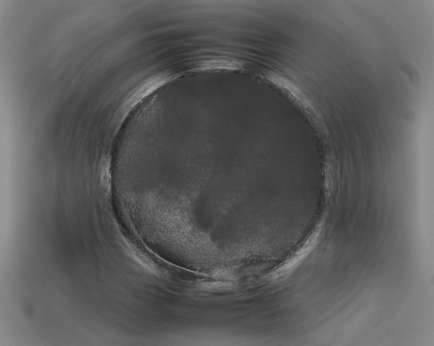 X0000113621113200909181434