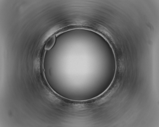 X0000113621114200909181434