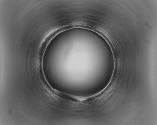 X0000113621115200909181434