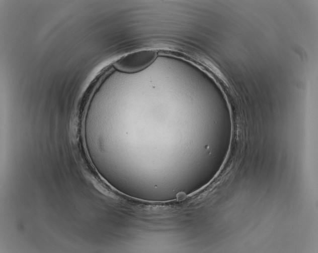 X0000113621116200909181434