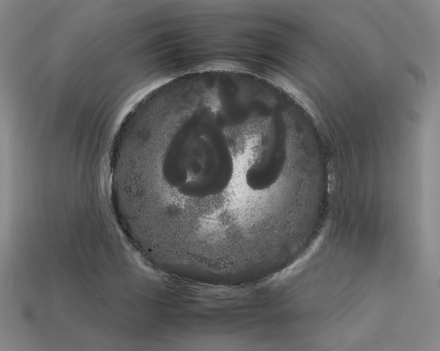 X0000113621117200909181434