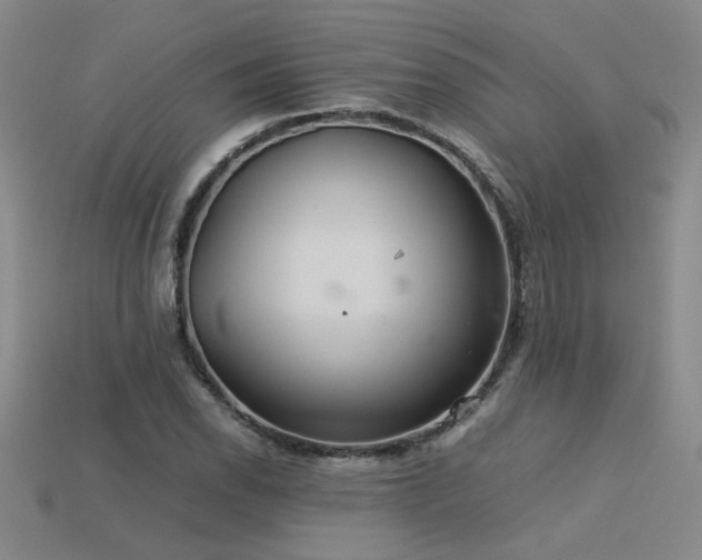 X0000113621118200909181434