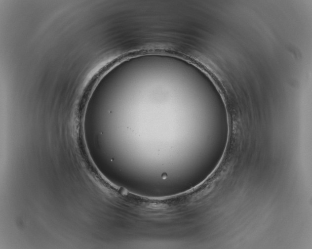 X0000113621119200909181434