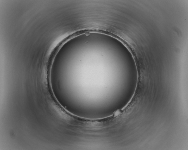 X0000113621120200909181434