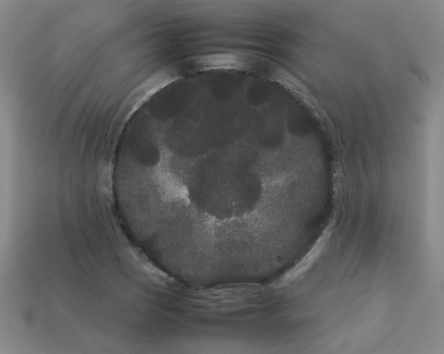 X0000113621121200909181434