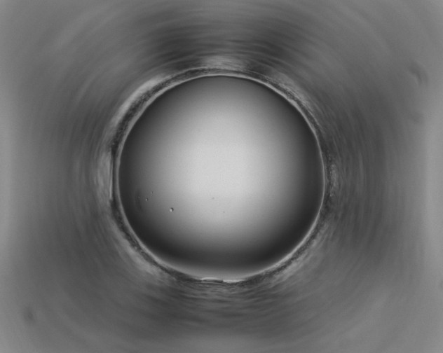 X0000113621123200909181434