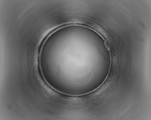 X0000113621124200909181434