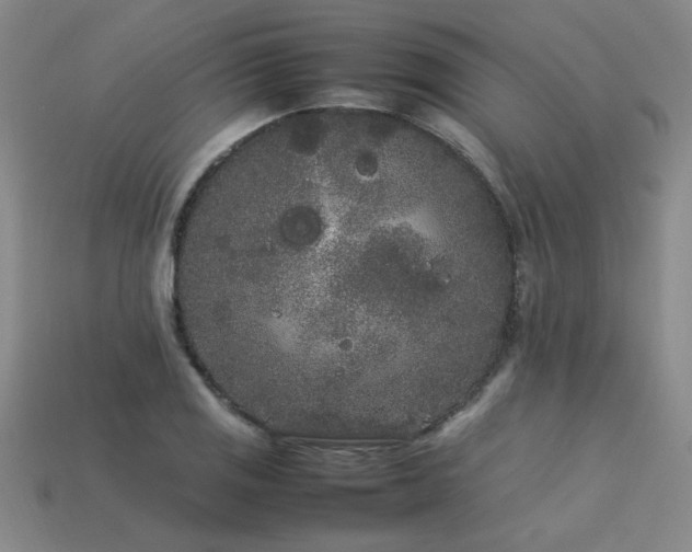 X0000113621125200909181434