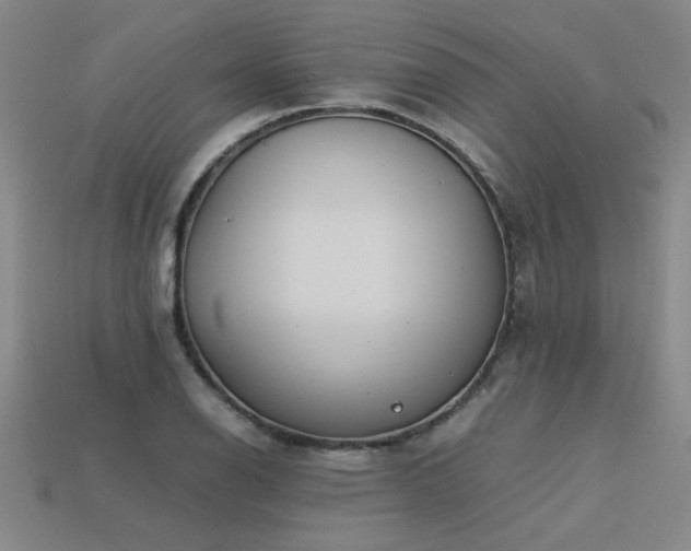 X0000113621126200909181434