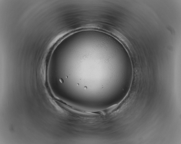 X0000113621127200909181434