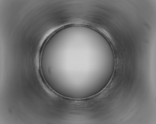 X0000113621128200909181434