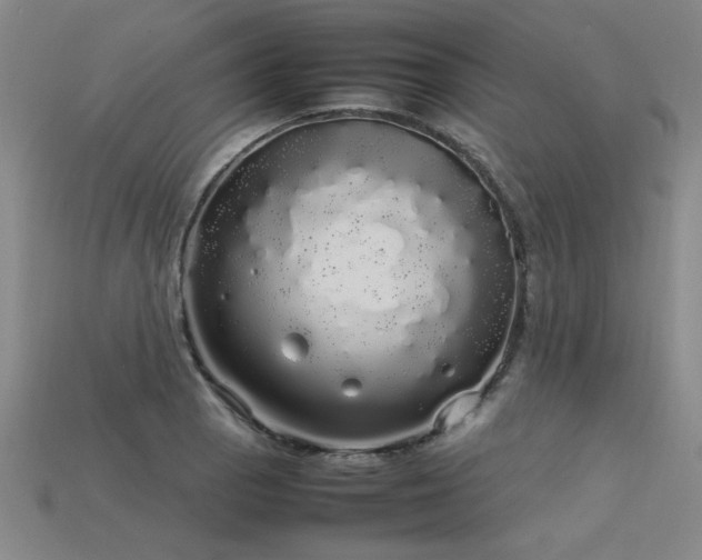 X0000113621129200909181434