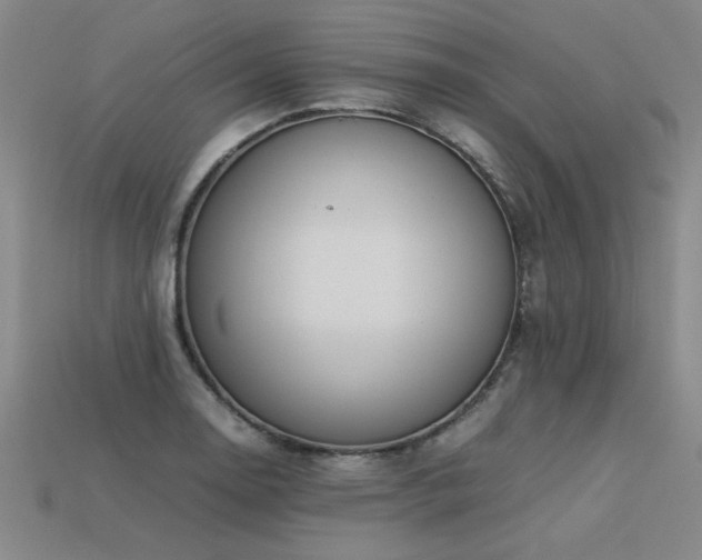 X0000113621130200909181434