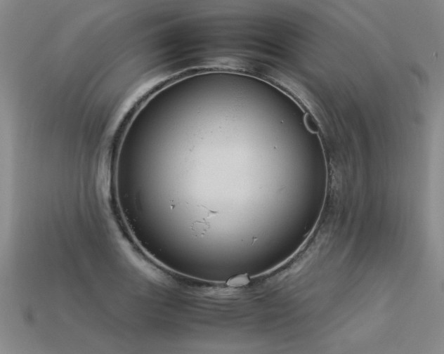 X0000113621131200909181434