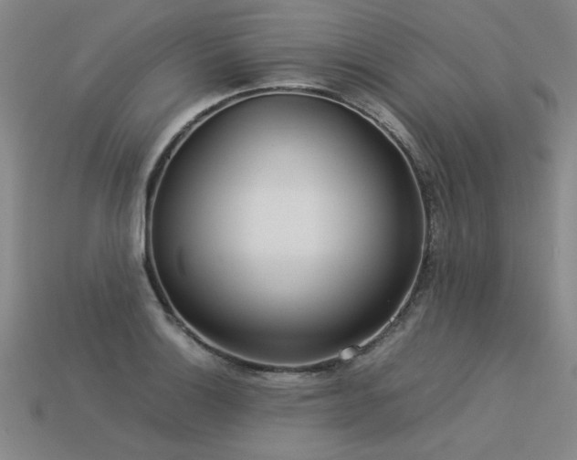 X0000113621132200909181434