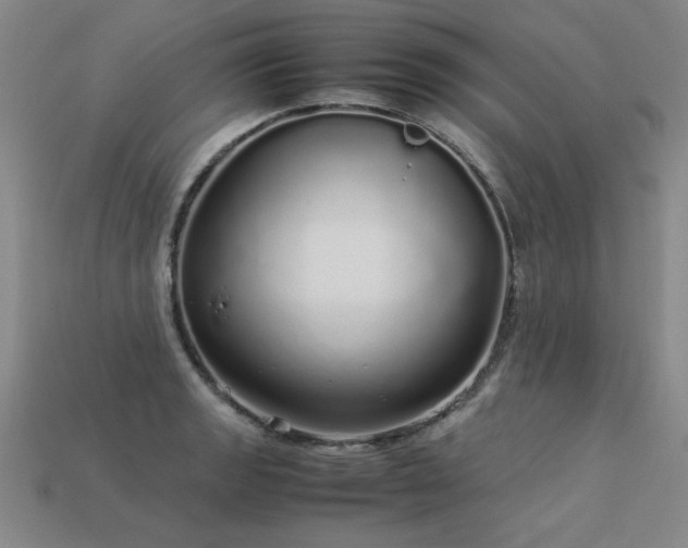 X0000113621133200909181434