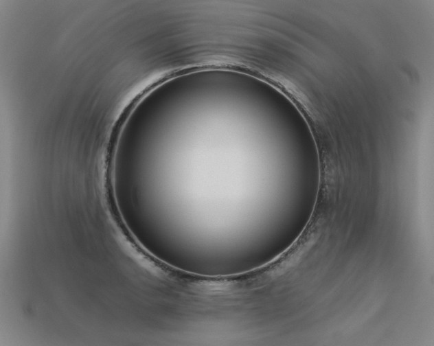 X0000113621134200909181434