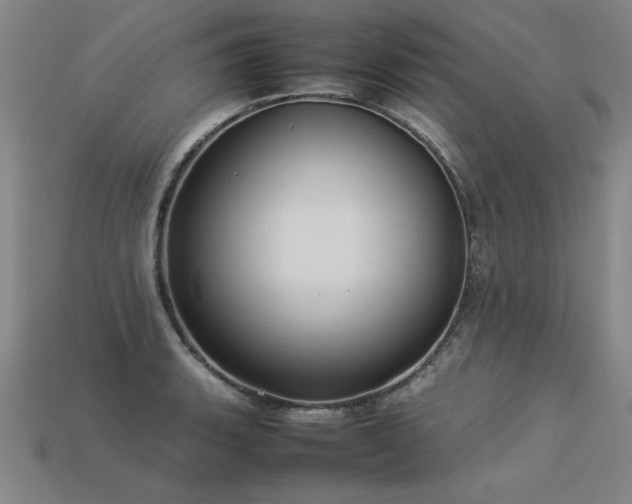 X0000113621135200909181434