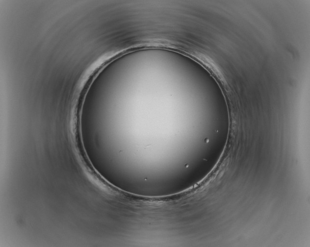 X0000113621136200909181434