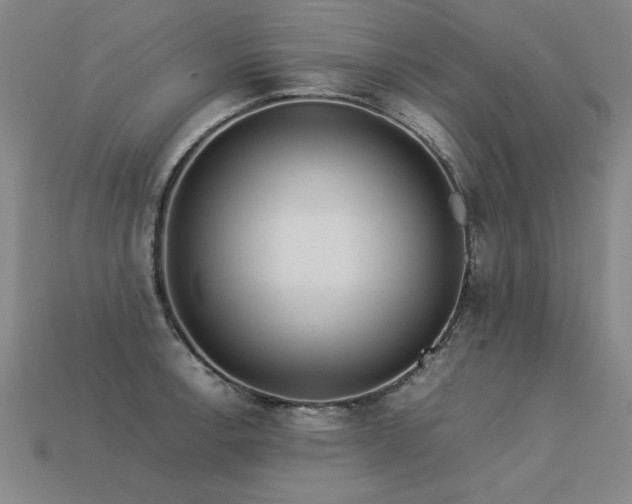 X0000113621138200909181434