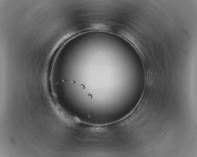 X0000113621139200909181434